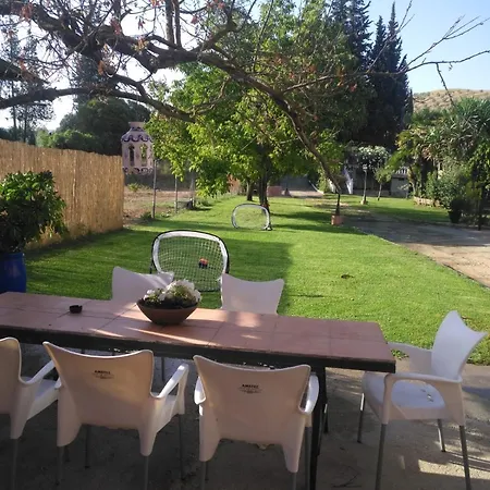 Palmeras روندا