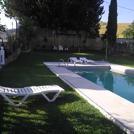 Palmeras * روندا