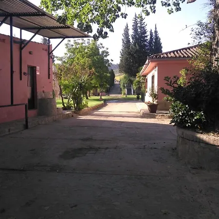 Palmeras *