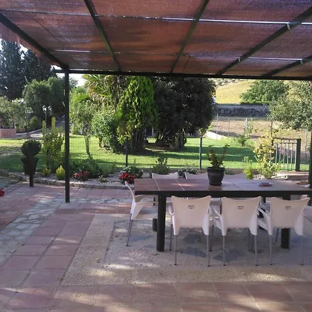 Palmeras Ronda