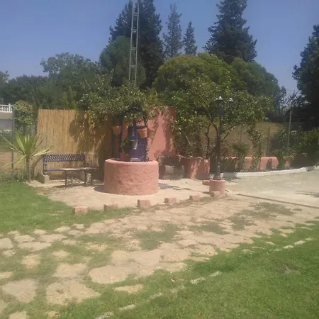 Palmeras Ronda