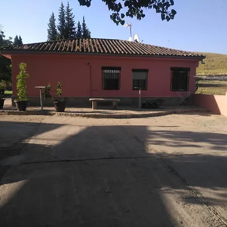 Palmeras Ronda