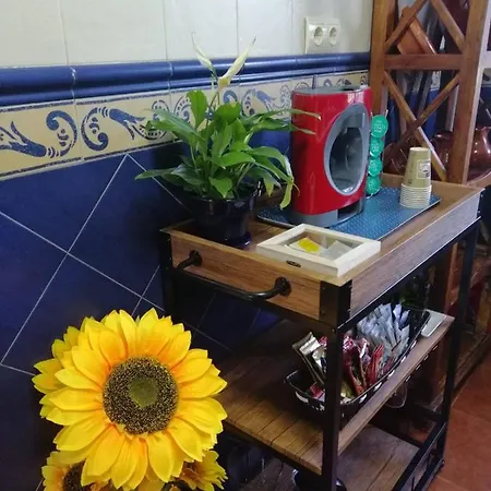 Palmeras Holiday home *