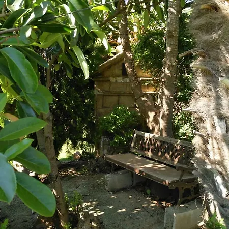 Сasa de vacaciones Palmeras