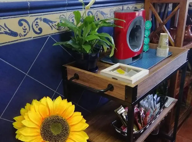 Palmeras Ferienhaus *