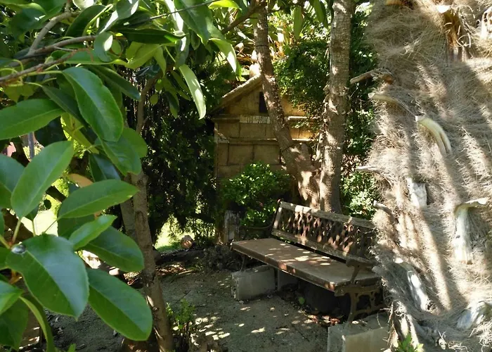 Semesterbostad Palmeras