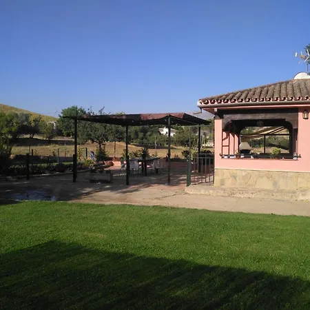 Palmeras * רונדה