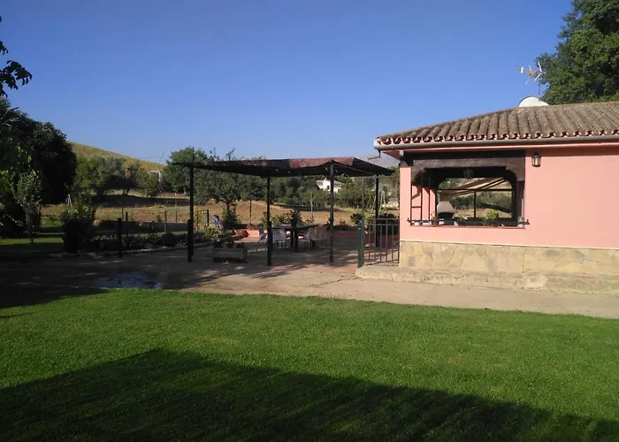 Palmeras * רונדה