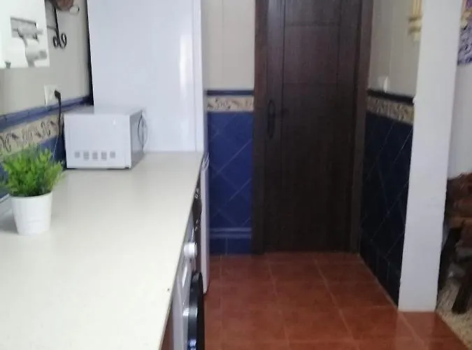 Palmeras * רונדה